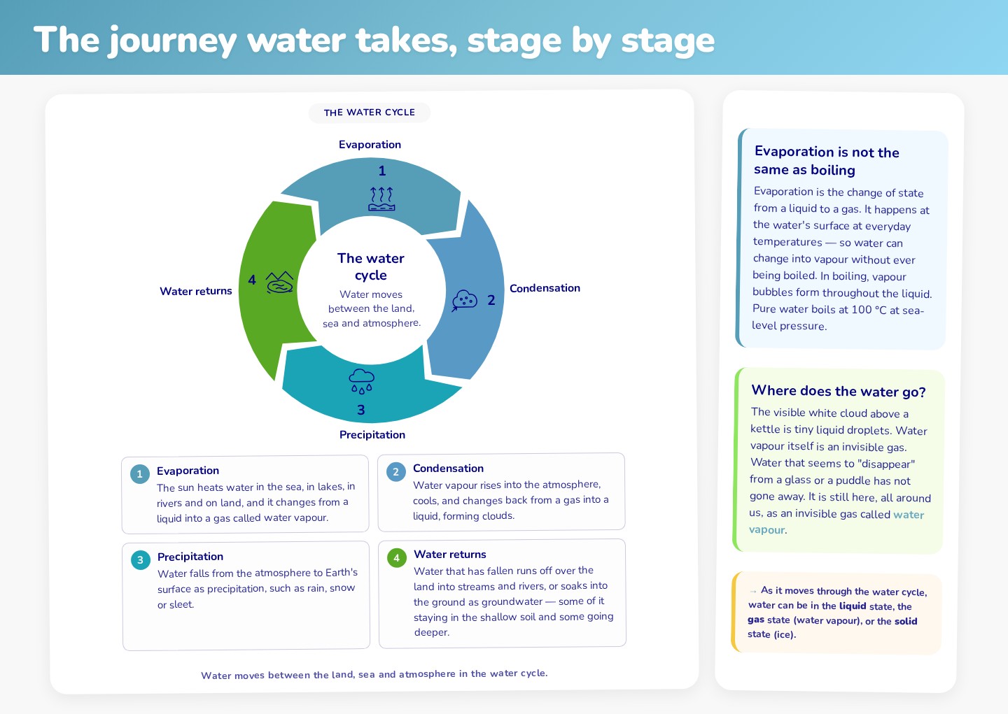 An actual generated cycle diagram labels evaporation, condensation, precipitation and collection, with a journey through its stages.